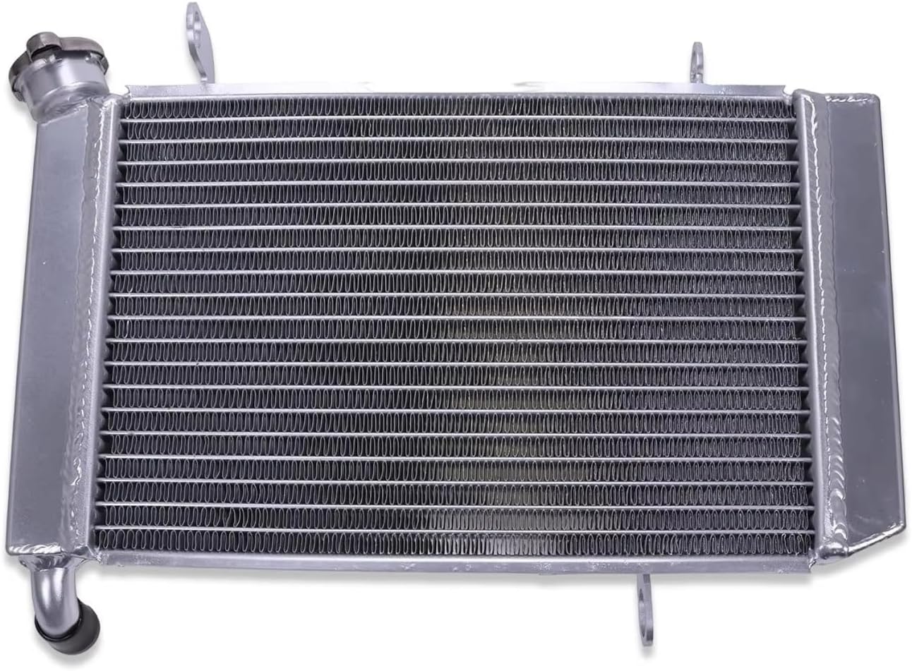 ケバブグリル Compatible With ZX-4R For ZX-4RR 2023 2024 対応 オートバイ用